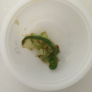 鰹節の野菜炒め